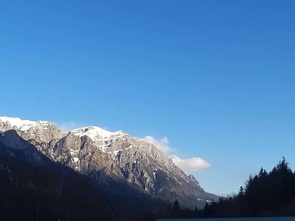 Apartament Greenstar Sinaia Luaran gambar