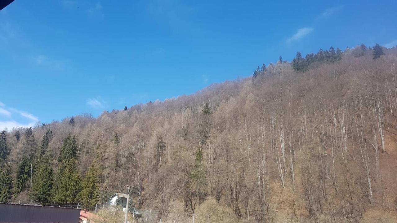 Apartament Greenstar Sinaia Luaran gambar